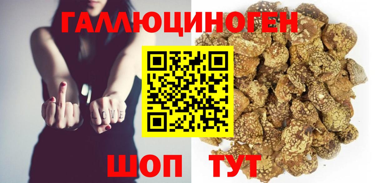 Асино  Псилоцибиновые грибы Psilocybine cubensis  купить наркотик  Вход с VPN 